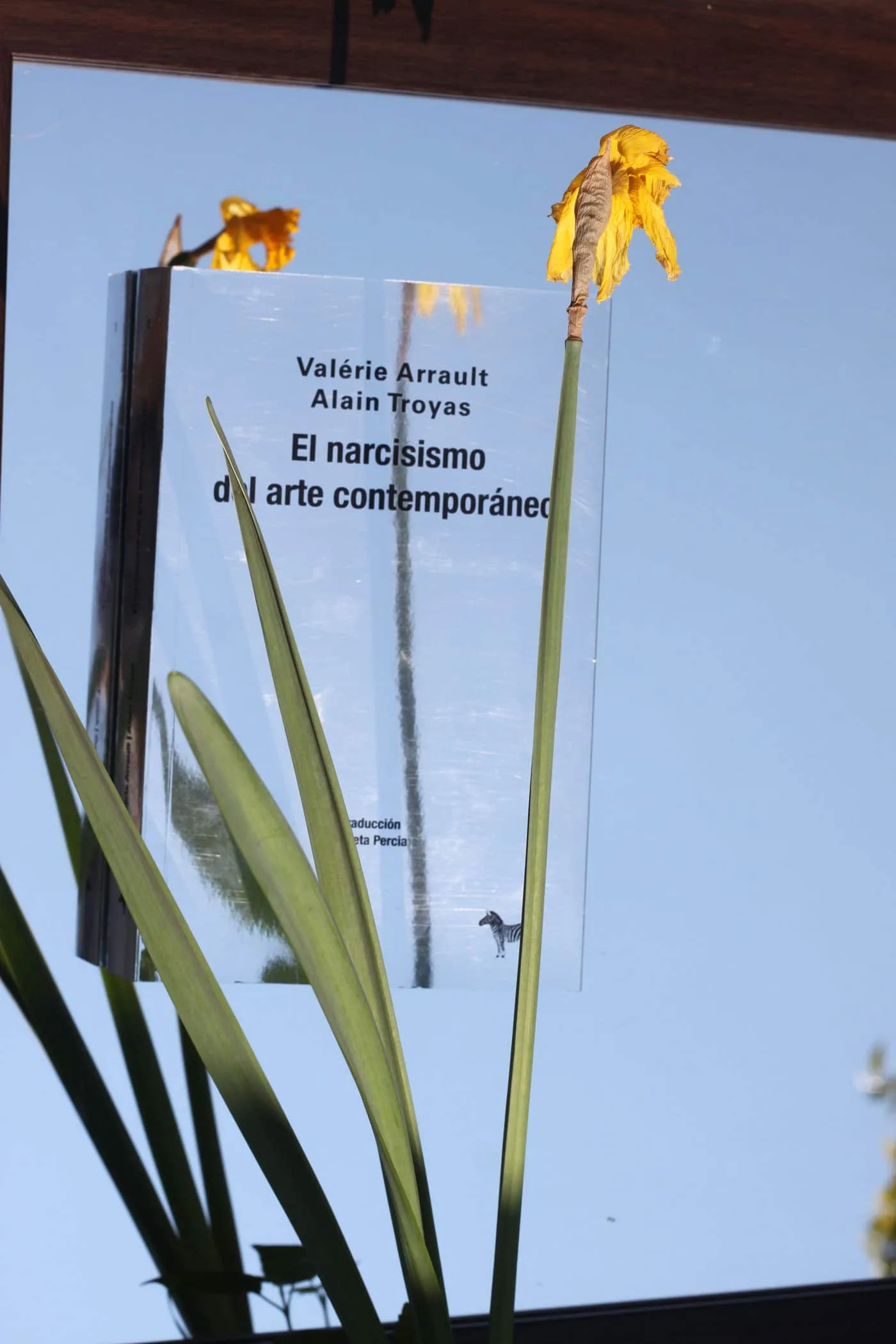 El narcisismo del arte contemporáneo